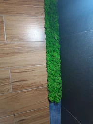Стабилизированный мох ягель Nordic moss Зеленый травяной светлый 0,5 кг фото от покупателей 4