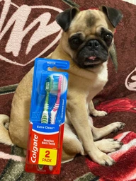 Зубна щітка Colgate Експерт Чистоти середньої жорсткості 2 шт (8714789732244) фото від покупців 2