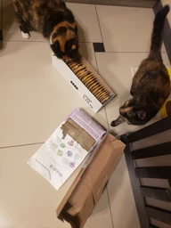 Влажный корм для выведения шерсти у кошек Purina Cat Chow Hairball с курицей и зеленой фасолью (26х85г) фото от покупателей 2