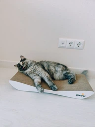 Когтеточка-лежанка Dream Say Meow - 57х24х7см фото от покупателей 1