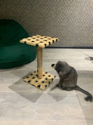 Когтеточка Пушистик для кошек, с полкой, джут, бежевая с лапками, 30×30×50 см