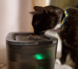 Поїлка PETKIT Eversweet SOLO SE Smart Pet Drinking Fountain Dark Grey (P4103S)