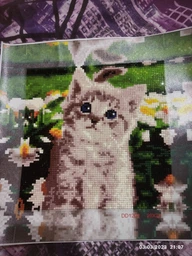 Алмазная мозаика ColorArt 20х20 Милый котенок DD1204