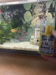 Средство по уходу за водой Tetra Aqua Safe для подготовки воды 100 мл на 200 л (4004218760998) фото от покупателей 1