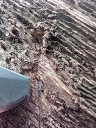 Нож Ka-Bar Jarosz Beartooth 3086 (Ka-Bar_3086) фото от покупателей 2