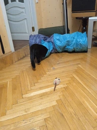 Trixie Тунель тканинний для котів,в асортименті фото от покупателей 7
