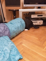 Trixie Тунель тканинний для котів,в асортименті фото от покупателей 6