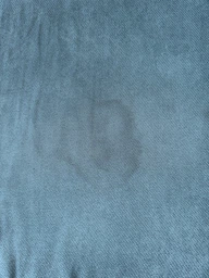 Засіб для очищення та догляду за килимами і м'якими меблями Glutoclean 0.75 л (4044899391920) фото від покупців 16