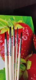 Кисти для рисования Pelikan Big Set 10 шт Пони + Щетина (4012700700407) фото от покупателей 6