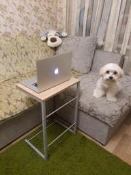 Приставний Столик Террі Ferrum-decor 650x440x330 Сірий метал ДСП Дуб Сан-Маріно 16 мм (TERR016) фото від покупців 2