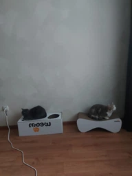 Кігтеточка (дряпка) - лежанка для кішок Say Meow Cloud 61х21х24 см (8040190102001)