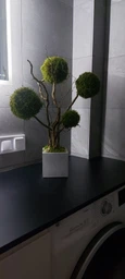 Дерево, топиарий Artis Green из лесного мха 60 cm T12