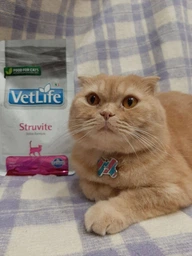 Сухой корм Farmina Vet Life Struvite для кошек для растворения струвитных уролитов, 10 кг