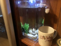 Акваріум з LED підсвічуванням самоочисний акриловий 2 л 25 см My Fun Fish фото від покупців 1