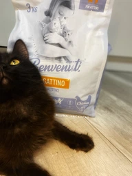 Сухий корм для кошенят Benvenuti GATTINO курка - 3 кг фото від покупців 1