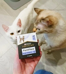 Пробіотична добавка для котів і кошенят Purina Pro Plan FortiFlora Feline Probiotic 1г фото від покупців 17