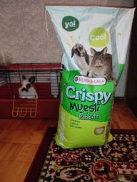Корм Versele-Laga Crispy Muesli Rabbits для кроликів 1 кг фото від покупців 2