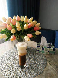 Піновзбивальник для молока електричний Schwarz&Mayer Milk Frother потужний капучінатор піновзбивальник з нержавіючої сталі 2 швидкості + 3 вибіркові трафарети в КОМПЛЕКТІ фото від покупців 13