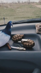М'яка іграшка антистрес WONKEY Голуб Гриша 30см 33001 фото від покупців 3