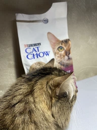 Сухой корм для взрослых кошек Purina Cat Chow Urinary для поддержания здоровья мочевыводящей системы, с курицей 1.5 кг (5997204514387) фото от покупателей 11