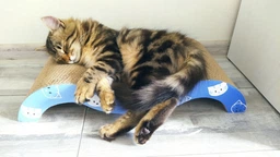 Дряпка Trixie Mimi Wave для котів, 50х9х23 см (картон) фото від покупців 10