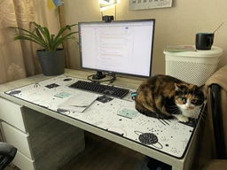 Ігрова поверхня WorkPlaceShop PN КОТИ КОСМОНАВТИ 300х500 мм фото від покупців 1