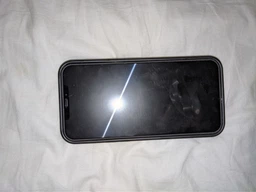 Захисне скло Promate WatchDog Apple iPhone 12 Pro Max (watchdog.12max) фото від покупців 2