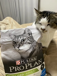Сухий корм для кішок Purina Pro Plan Sterilised з кроликом 10 кг (7613033566486)