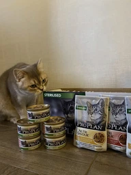 Вологий корм для стерилізованих котів Purina Pro Plan Sterilised Пуріна Проплан з куркою в підливці пауч 85 г 26 шт (7613036092852) фото від покупців 8