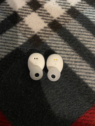 Наушники Motorola MOTO BUDS 105 White TWS (BUDS105-W) фото от покупателей 11