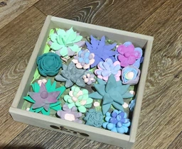 Набор для творчества OKTO Wood&Craft DIY Суккуленты Passion 21 x 21 см (4820199475849)