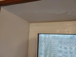 Засіб для видалення цвілі Astonish Mould&Mildew Stain Blaster 750 мл фото від покупців 18