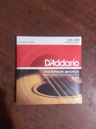 Струни для гітари D'Addario Phosphor Bronze Medium (13-56) (EJ17)