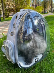Прозрачный рюкзак для переноски животных Pet Cat для кошек и собак Black