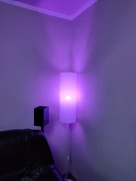 Торшер TK Lighting LUNETA NEW 5228 фото от покупателей 3
