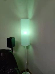 Торшер TK Lighting LUNETA NEW 5228 фото от покупателей 1