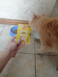 Влажный корм для взрослых кошек Purina Friskies кусочки в подливе с лососем (26х85г) фото от покупателей 2