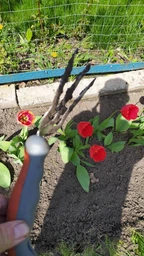 Вилка посадкова Flora (5041404) фото від покупців 3