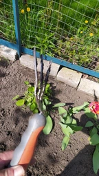 Вилка посадкова Flora (5041404)