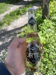 Упаковка пива Senor Cartel светлое пастеризованное 4.6% 0.33 л х 24 шт стекло(4820002713151)