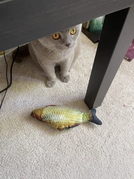 Іграшка риба для кішок Карась CatNip плюшева 3D з котячою м'ятою 30 см фото від покупців 1