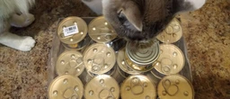 Упаковка влажного корма для кошек Purina Gourmet Gold Паштет с курицей 24 шт по 85 г фото от покупателей 19