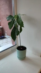 Горщик для квітів Form-Plastic SATINA круглий з підставкою 11 л 25 х 27 см, Колір Антрацит