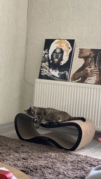 Когтеточка из картона усиленного с деревянным фасадом Cat Joy Fusion Beige 77x29x29 см фото от покупателей 6