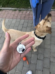 Эмалированный Адресник для Собак BronzeDog с Гравировкой Лапка на Фоне Объемной Паутинки Оранжевый 25 мм (92134) фото от покупателей 2