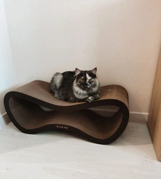 Когтеточка из картона усиленного с деревянным фасадом Cat Joy Fusion Beige 77x29x29 см фото от покупателей 5