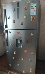 Двухкамерный холодильник Samsung RT62K7110SL/UA фото от покупателей 2