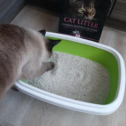 Наповнювачі для туалету CAT ROYALE Бентонітовий наповнювач з ароматом дитячої пудри 5 л (76144148) фото від покупців 4