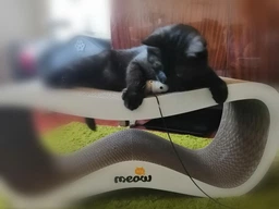 Когтеточка картонная Say Meow Grace, 67 см х 27 см х 24 см фото от покупателей 1