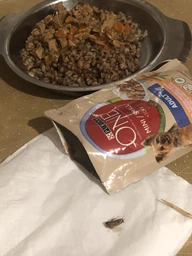 Корм консервований Purina One Mini/Small Adult для собак до 10кг з куркою морквою зеленою квасолею в підливі 85 г (8445290298263) фото від покупців 2